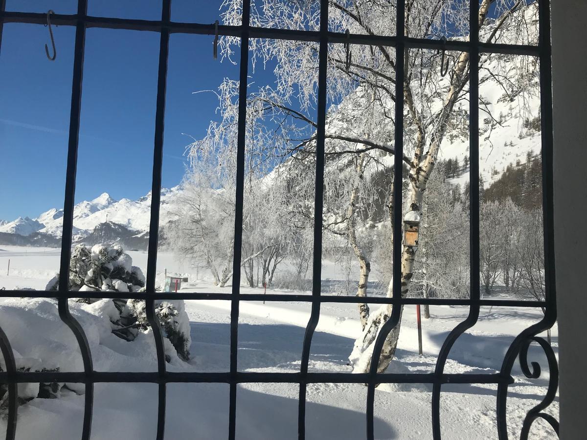 Apartament Chesa Suot Ovas Sils Maria Zewnętrze zdjęcie